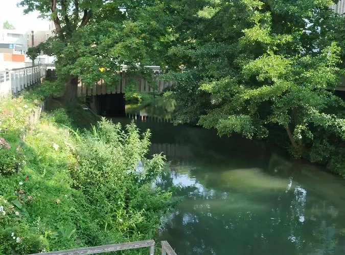 Apartman Zen T1, 400m Centre Et Lycee Bayen, 1400m Gare Confort *